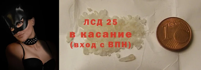 мяу мяу мука Абаза